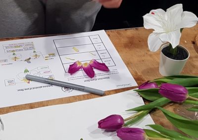 Level Up Academy - Inscription aux Ateliers PédagoGeek